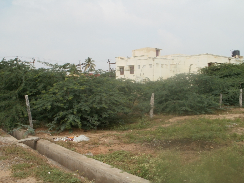TRICHY TO KARUR ROAD VIEW