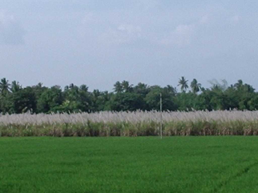 Kumbakonam
