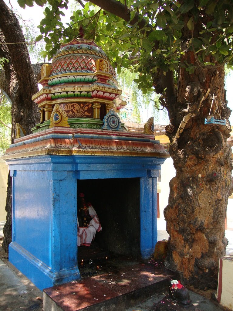DSC08002 அரசமர   பிள்ளையார்  Arasamara Pillaiyaar