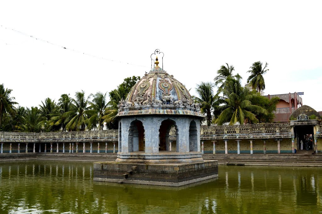 Temple Pond