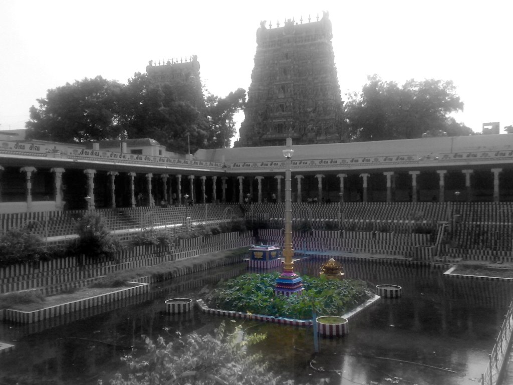 Golden Lotus Pond-Meenakshi Temple