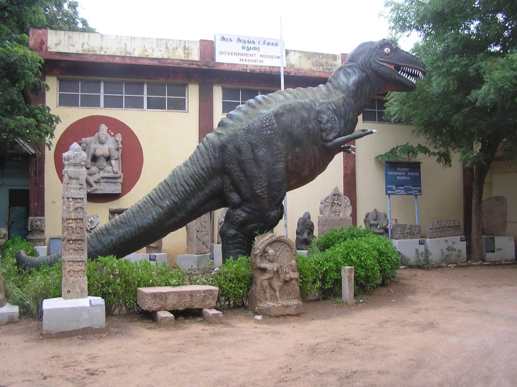 Gandhi museum
