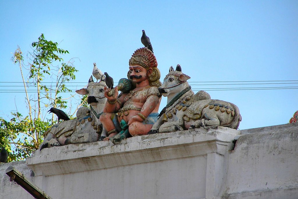 Sculpture (with birds) at the Meenakshi Temple, Madurai