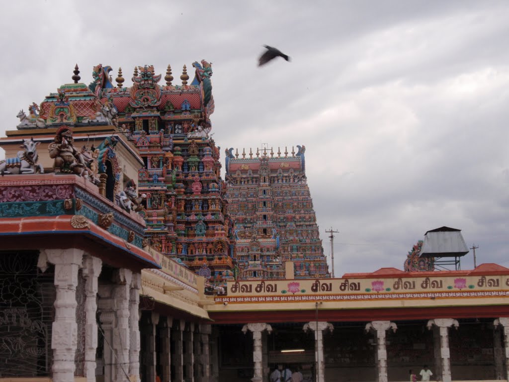 Madurai, Sri Meenakshi temple - Inde / ROBIN82 FRANCE