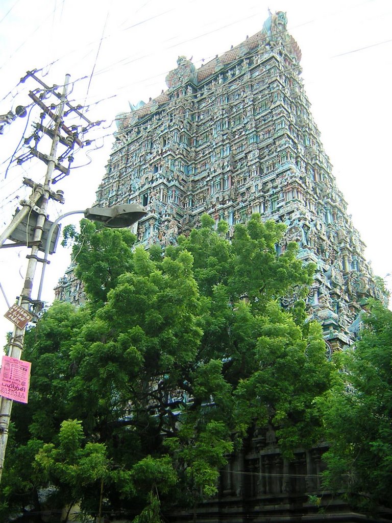 Madurai - Tempio di Sri Meenakshi