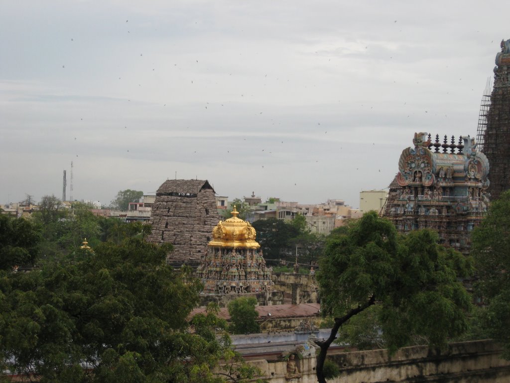 Sri Meenakshi Temple