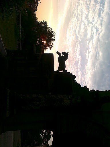 pudukottai palace ( My Click)