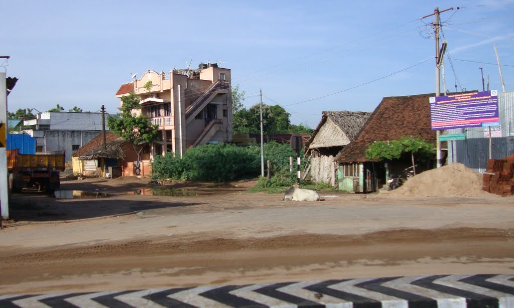 புதுக்கோட்டை Pudhukkottai   4443