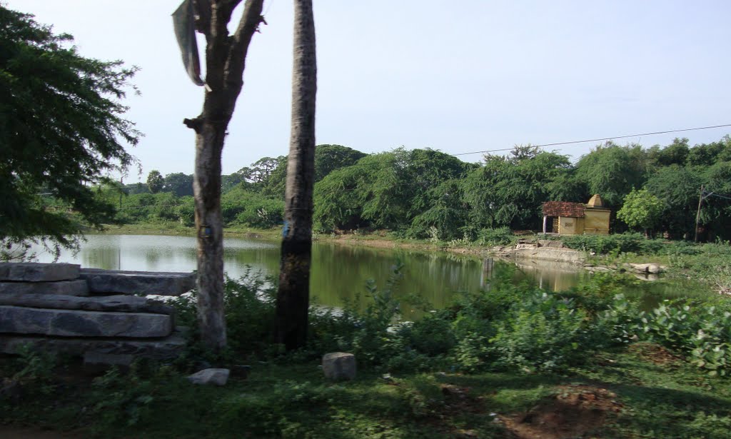புதுக்கோட்டை-Quarry Lake,  Pudhukkottai    4447