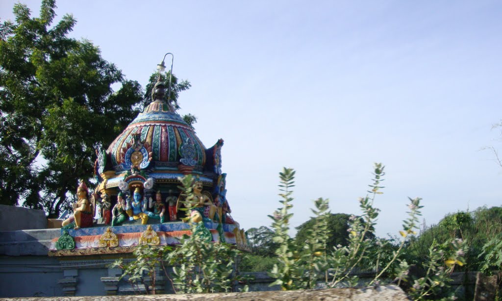 புதுக்கோட்டை Temple Vimaanam,  Pudhukkottai   4448