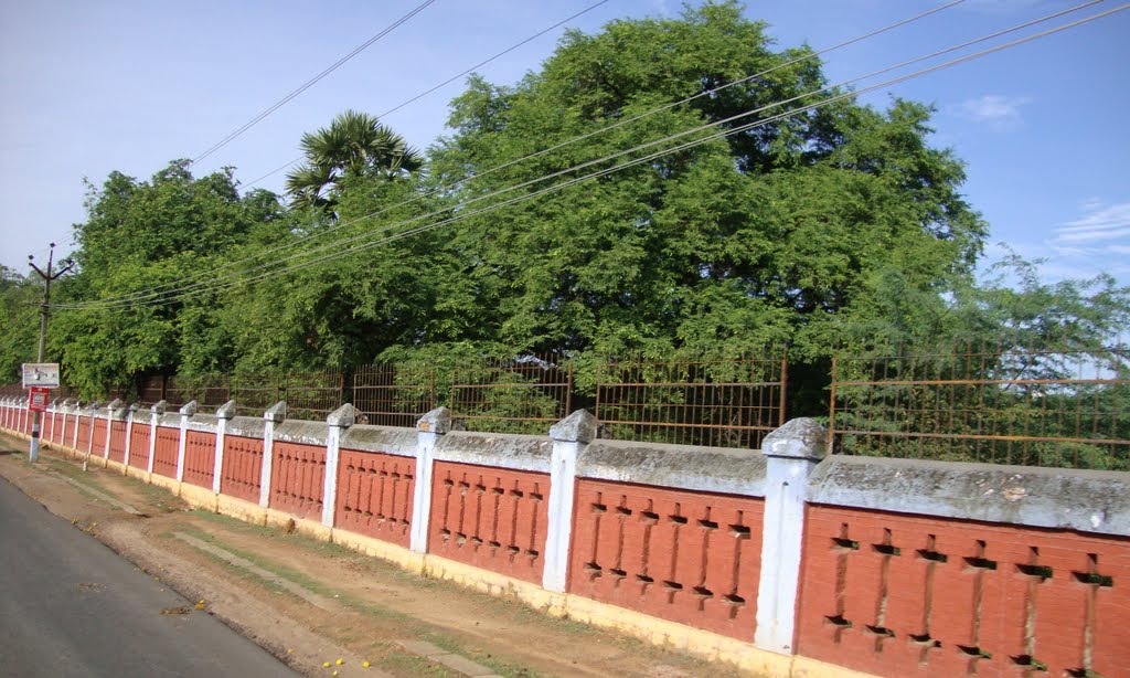 புதுக்கோட்டை near  Colls Office Compound Pudhukkottai  4451