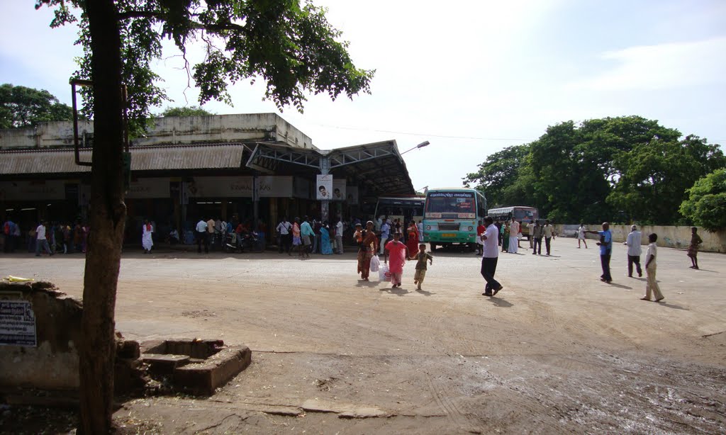 புதுக்கோட்டை Pudhukkottai     4489