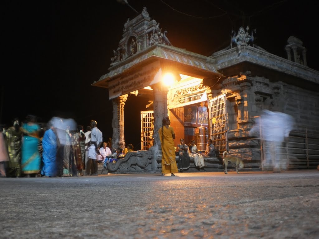 ஸ்ரீ அருணாச்சலேஸ்வரர் கோயில் திருவண்ணாமலை  - இரவில் Shri Arunaachalaeswarar  Temple Thiruvannamalai - by night శ్రీ అరునాచాలేస్వరర్  ఆలయం తిరువన్నమలై श्री अरुणाचलेस्वरर  मंदिर तिरुवन्नमलई- रात मे   0034