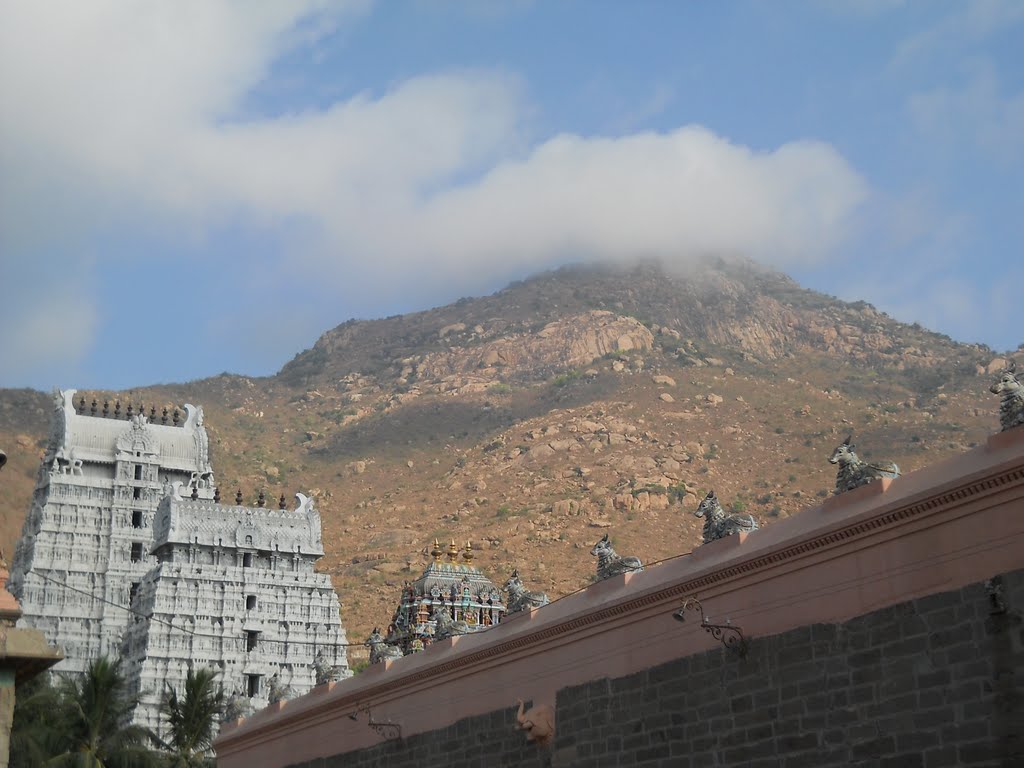The Hill and The Temple Thiruvanamalai