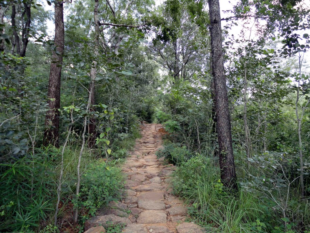Way between Ramanashramam & Skandashramam