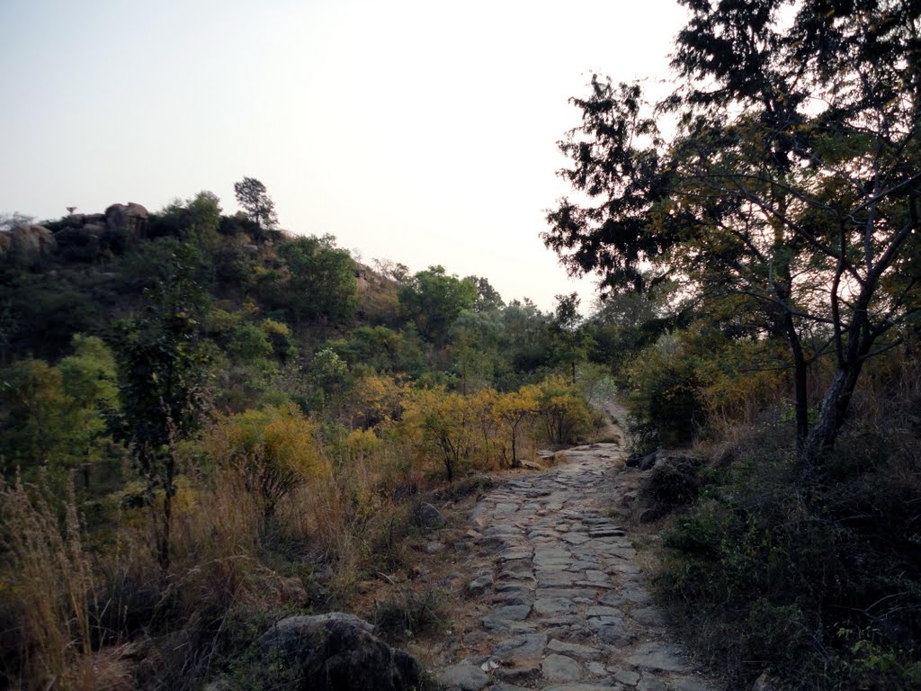 Way between Ramanashramam & Skandashramam2