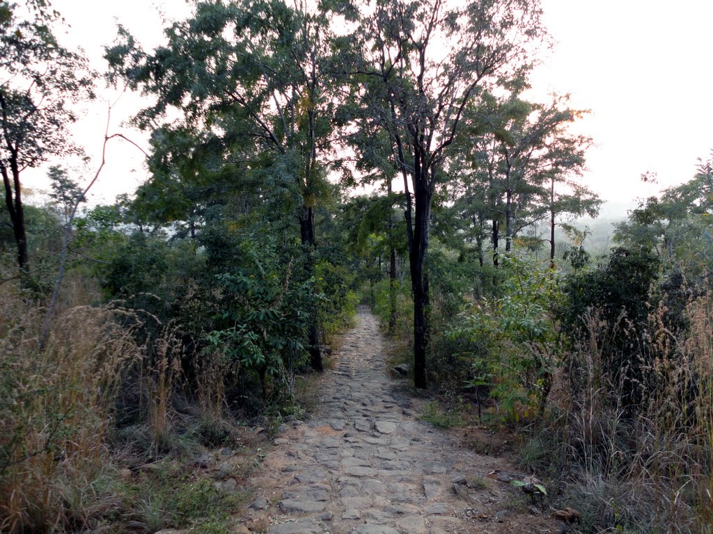 Way between Ramanashramam & Skandashramam3