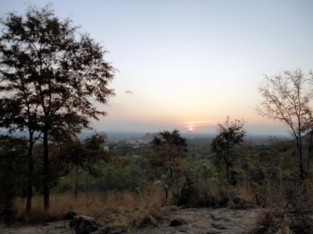 Way Between Ramanshram and Skandashramam