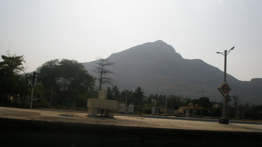ஸ்ரீ திருவனாமலை அருணாச்சலேஸ்வர் மலை