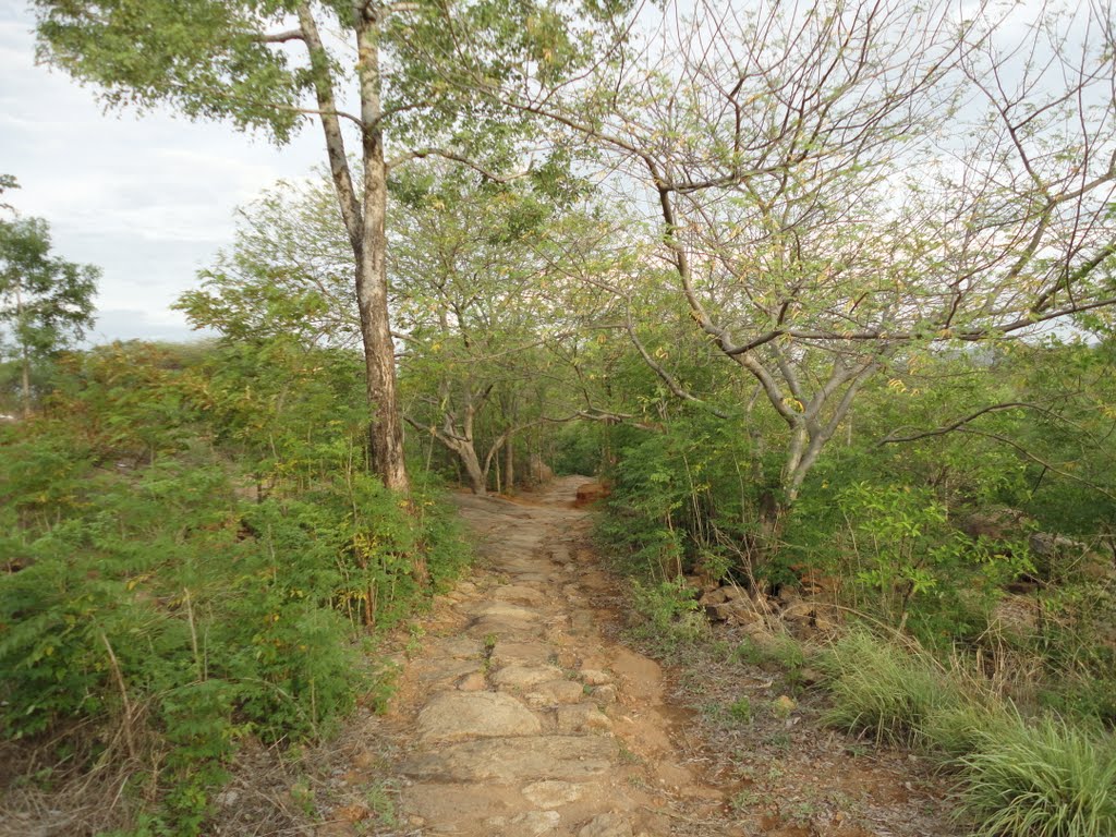 Pennāthur