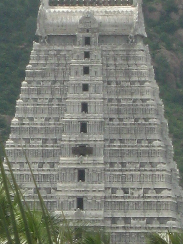 thiruvannamalai raja kopuram