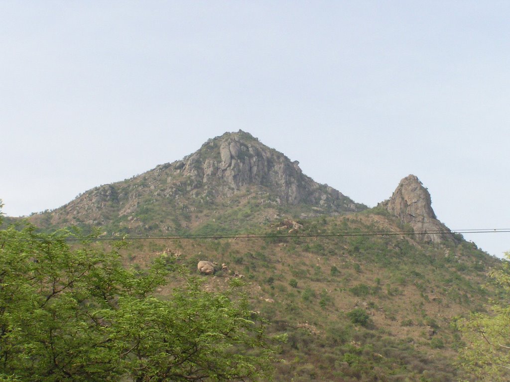 Arunachala