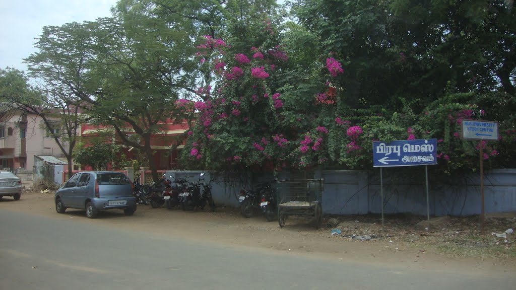 Palaiyamkottai பாளையங்கோட்டை പാലൈയങ്കൊട്ടൈ  పాళైయంకోట్టై पाळैयङ्कोट्टै পালৈযঙ্কোট্টৈપાલૈયન્કોટ્ટૈ ਪਾਲੈਯੰਕਕੋੱਟੈ ପାଲିୟଂକୋତଈ    6250