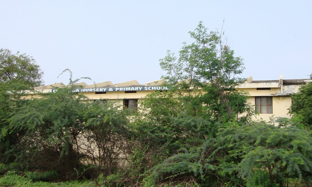DSC04895 க்லாரிண்டா நர்சரி & ப்ரைமரி ஸ்கூல்  CLARINDA NURSERY & PRIMARY SCHOOL 20091127  051