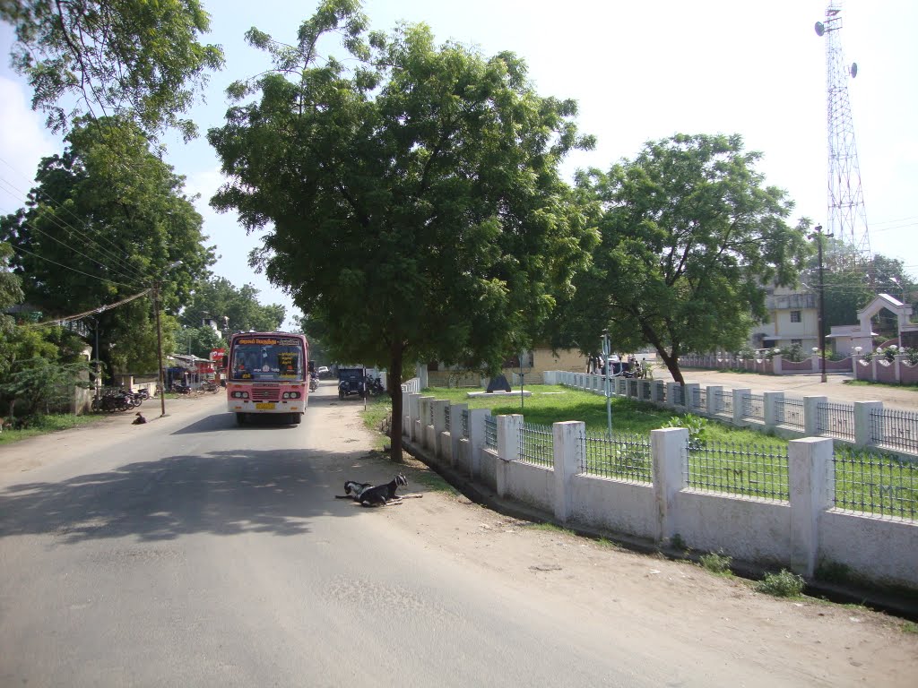 Tirunelveli
