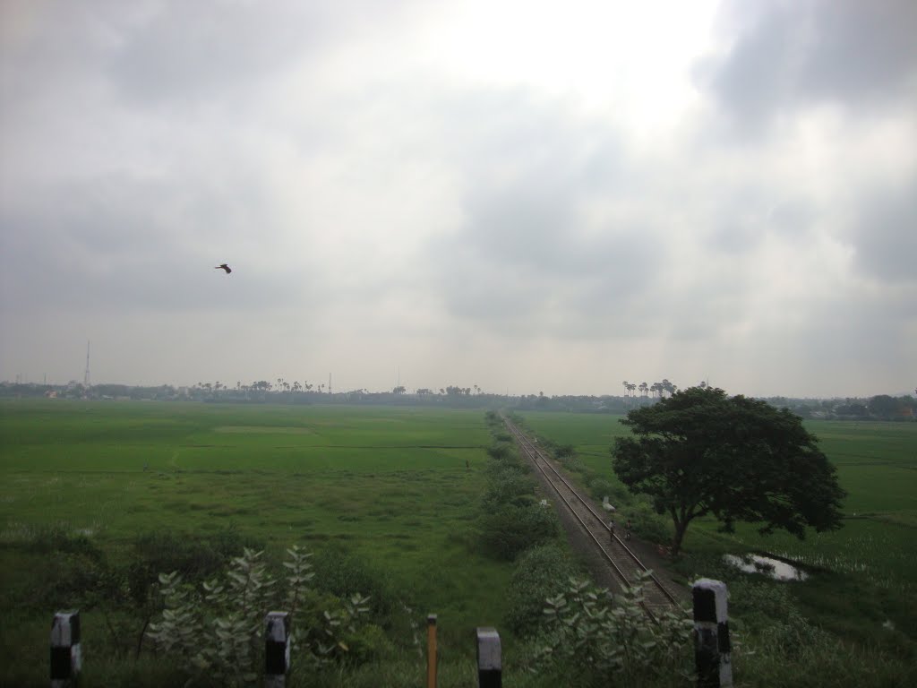 9092  ரயில் வழி திருநெல்வேலி  Rail line through paddy field of Thirunelveli  20111217  08.48.44
