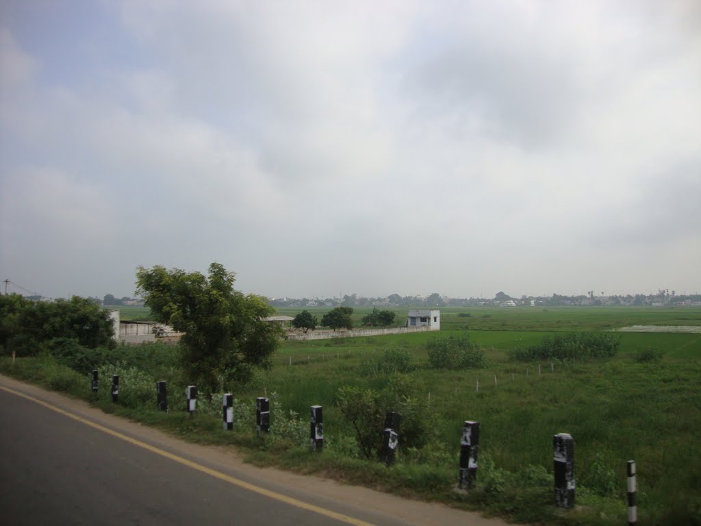 9094  திருநெல்வேலி  Paddy field Thirunelveli 08.49.03