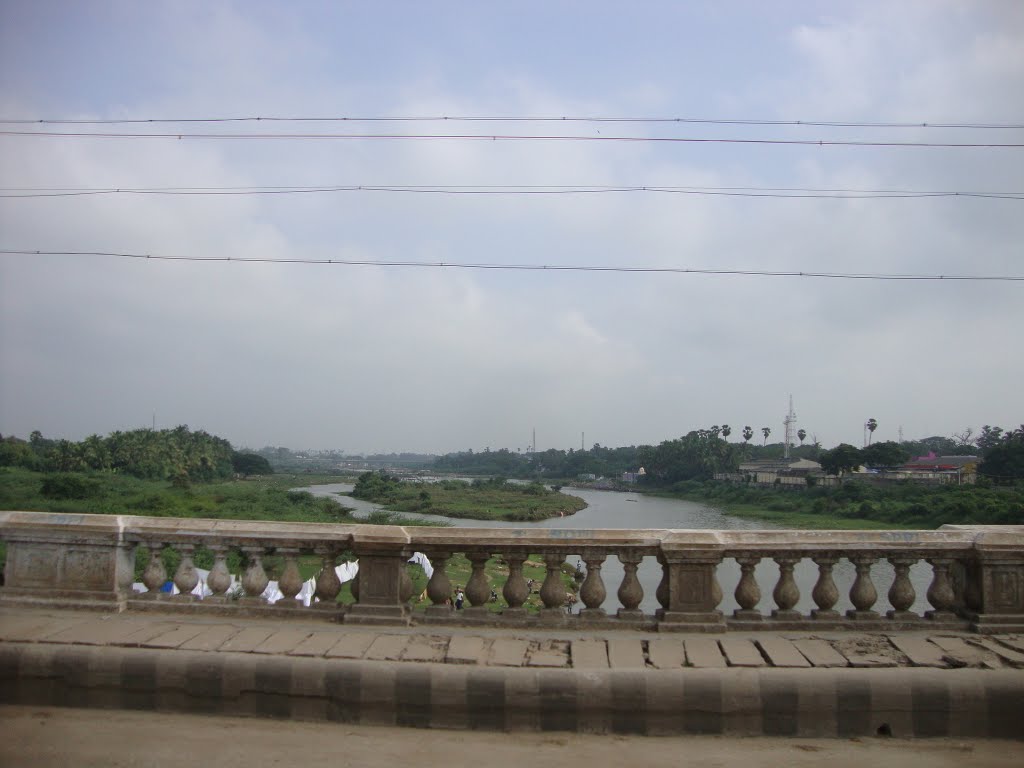 9099 தாமிரபரணி ஆறு   திருநெல்வேலியில்  - Tamiraparani River at Thirunelveli