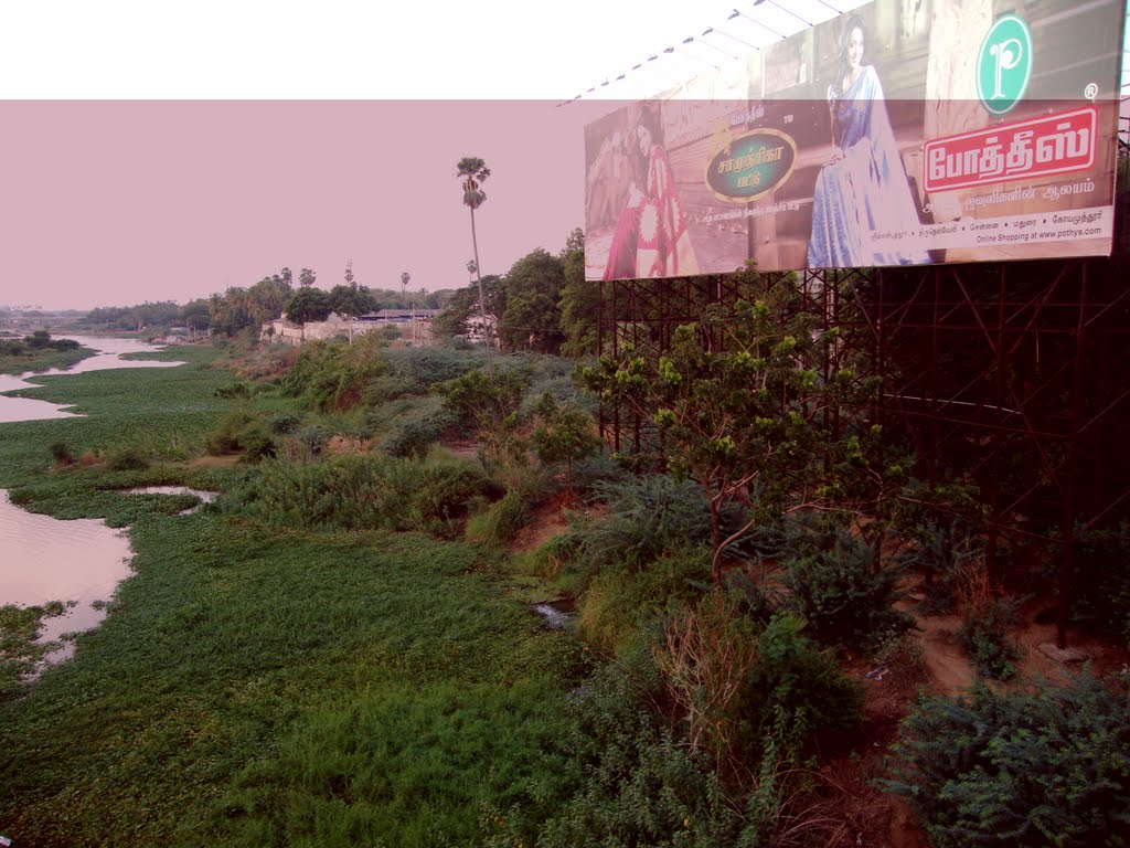 Thamirabarani Tirunelveli