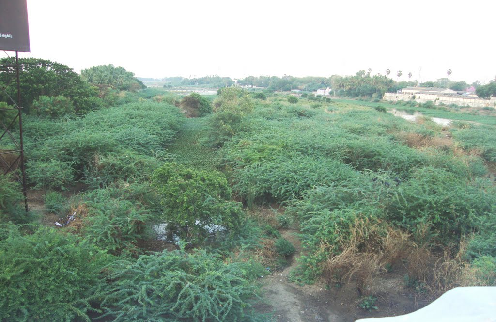 THAMIRABARANI TIRUNELVELI