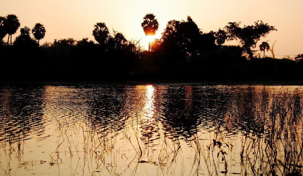 Sunrise