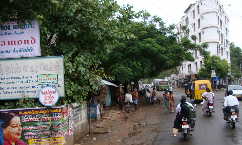 DSC03658 திருச்சி Thiruchi