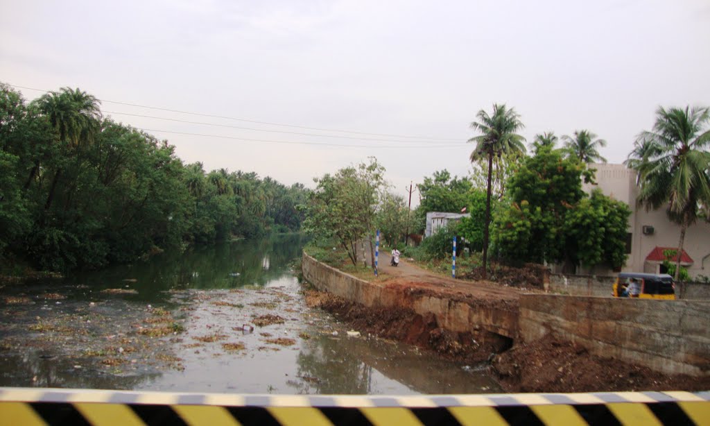 DSC03674  கால்வாய் ஓடை Canal
