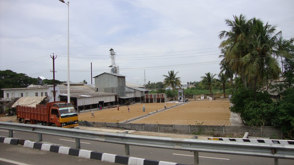 DSC05015தொண்டைமான் அரிசி ஆலை (திருச்சிராப்பள்ளி)  Thondaiman Rice Mill (Tiruchirappalli) paddy process  Thiruchchiraappalli  17   11.18.44