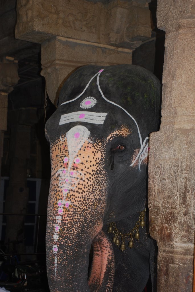Trichy rock fort - elefante sacro