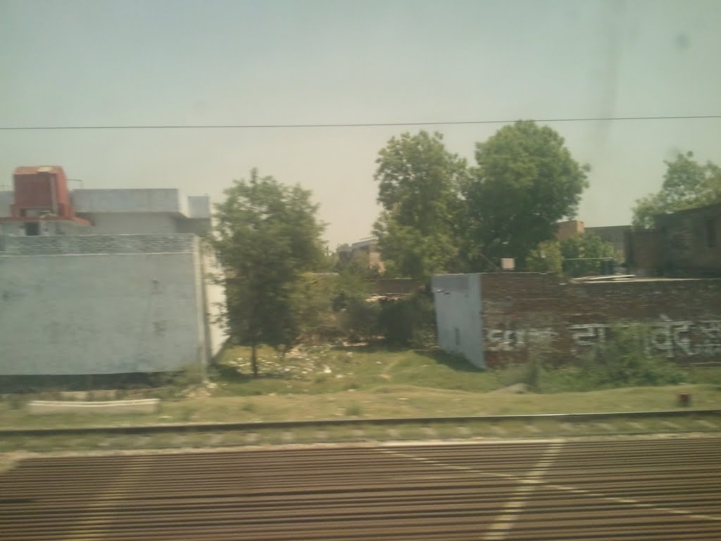 Aligarh