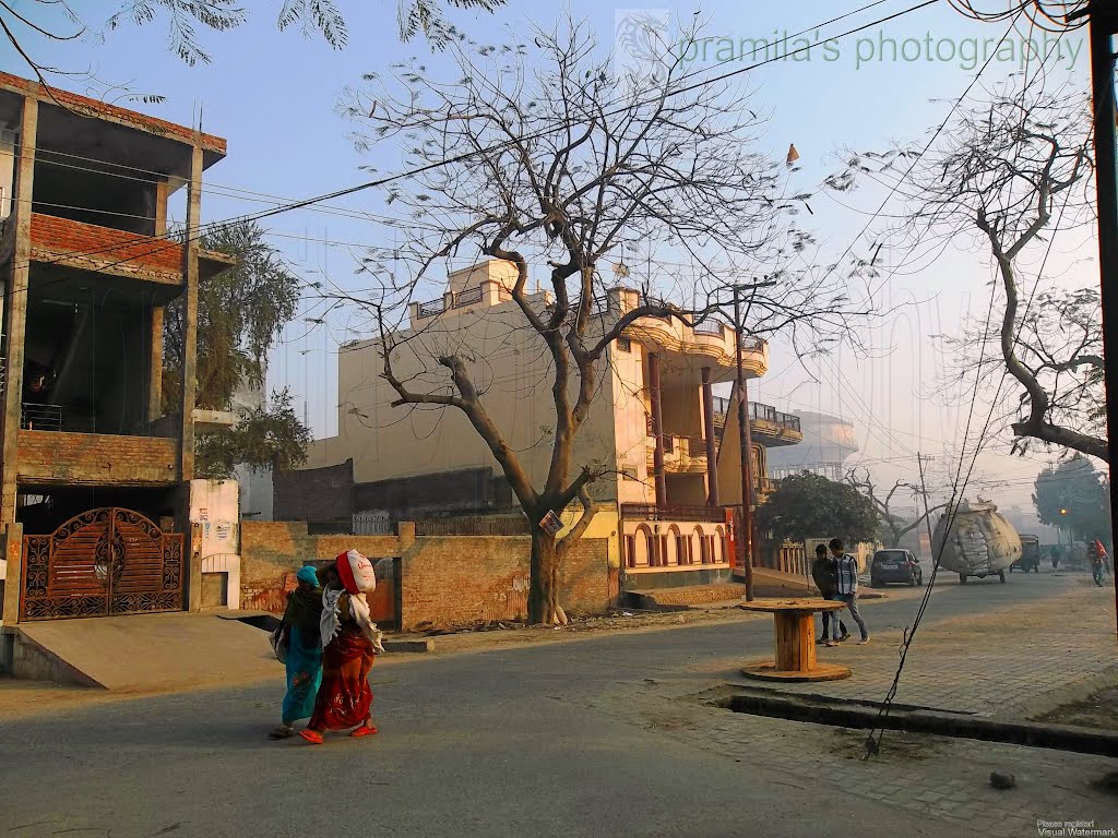 Awas Vikas Colony  naturephotographyindia.com