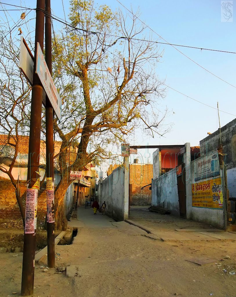 Agra road           naturephotographyindia.com