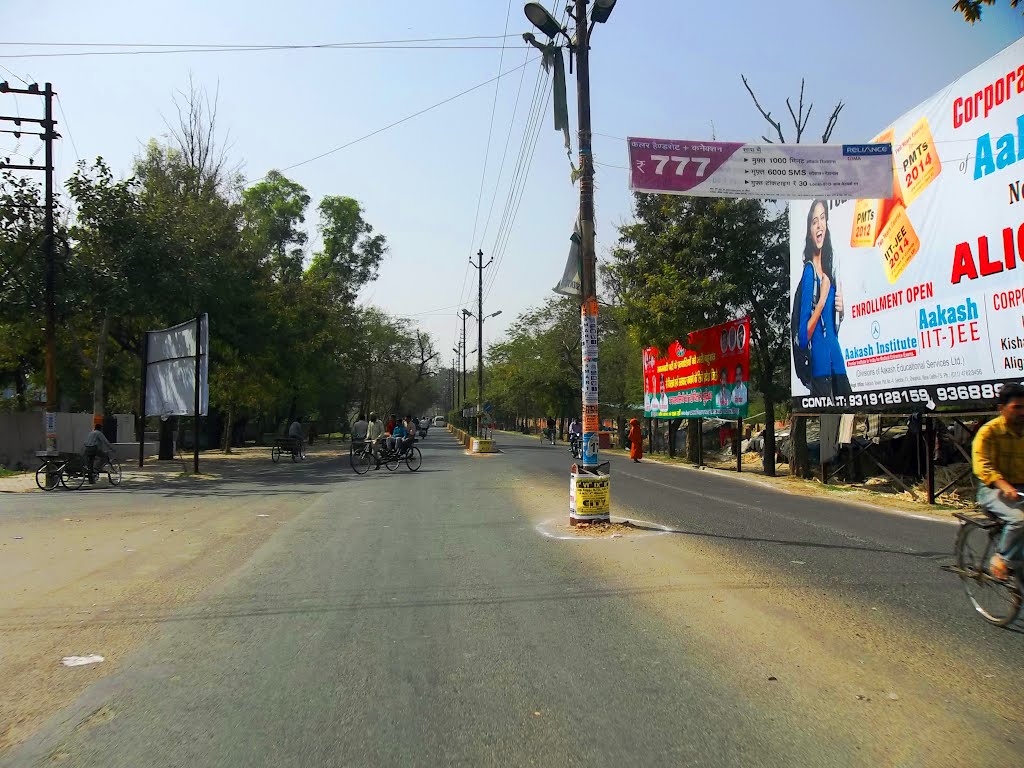AMU Road        naturephotographyindia.com