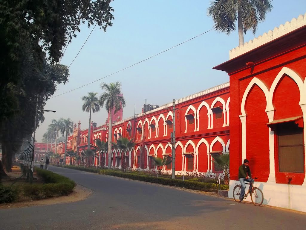 Strachy hall          naturephotographyindia.com