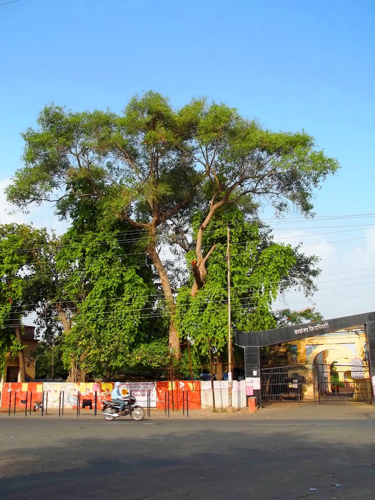 D M office