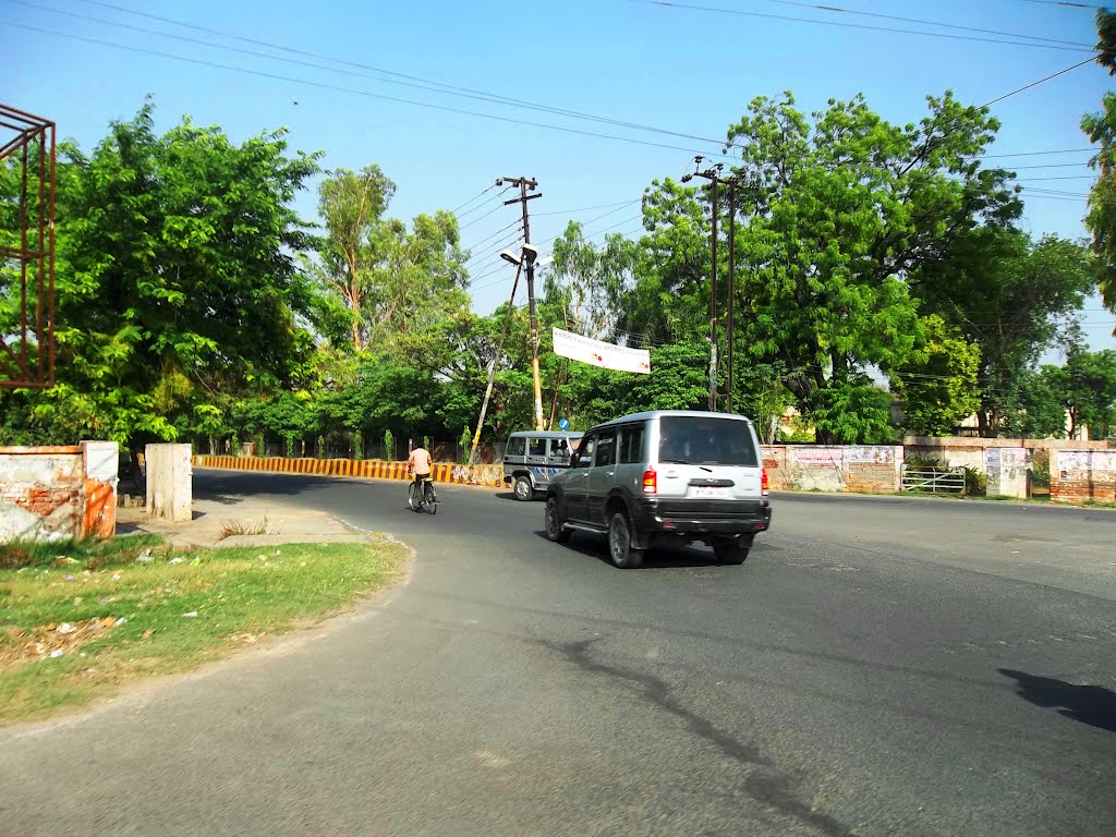 AMU circle