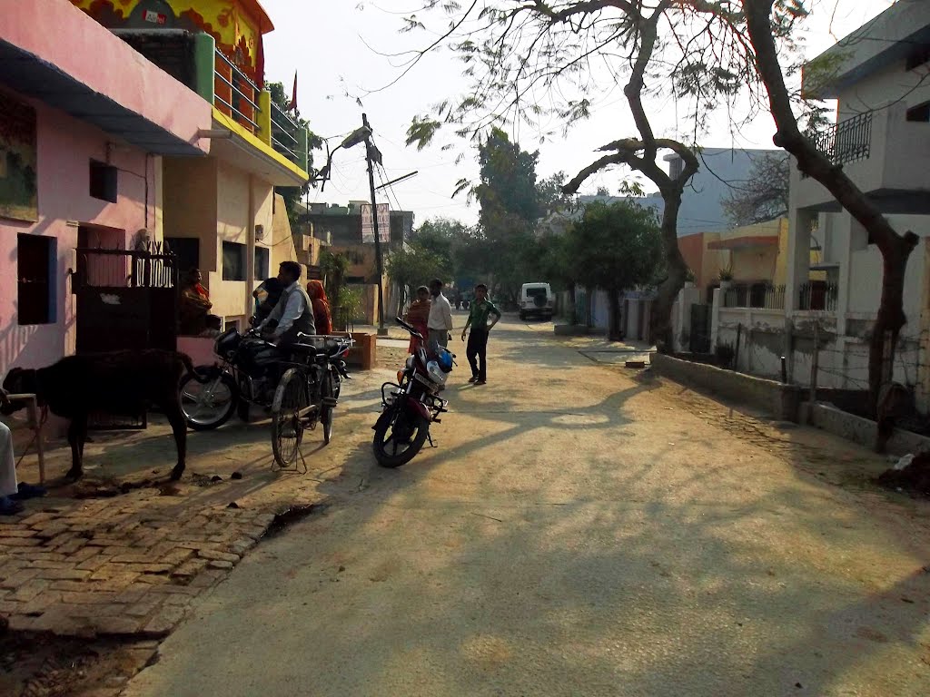 Avas vikas colony