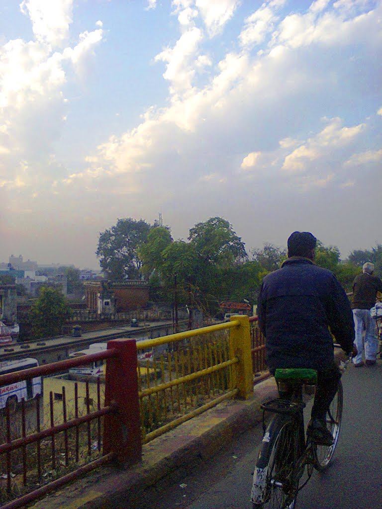 bridge