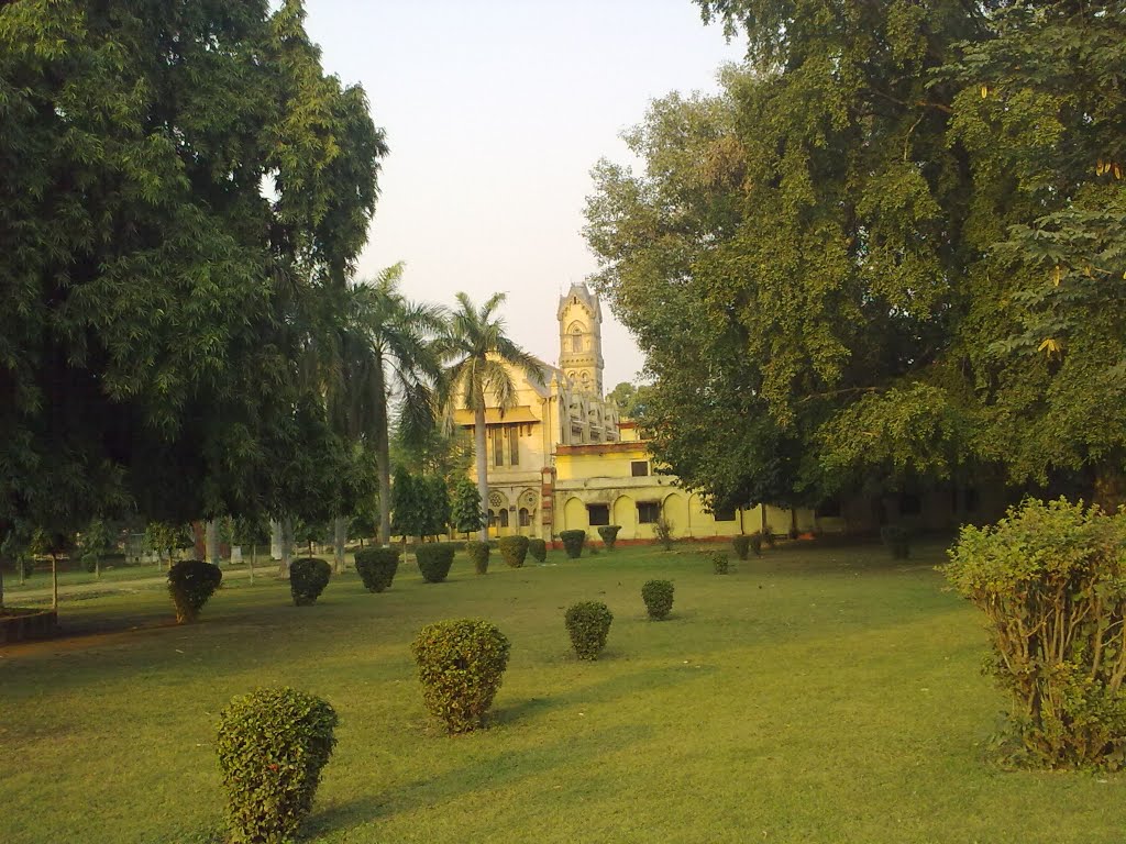 Public Library