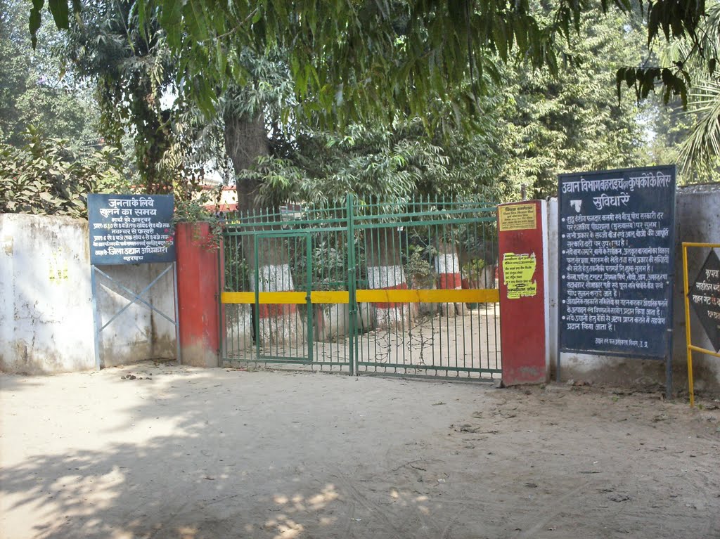 Park